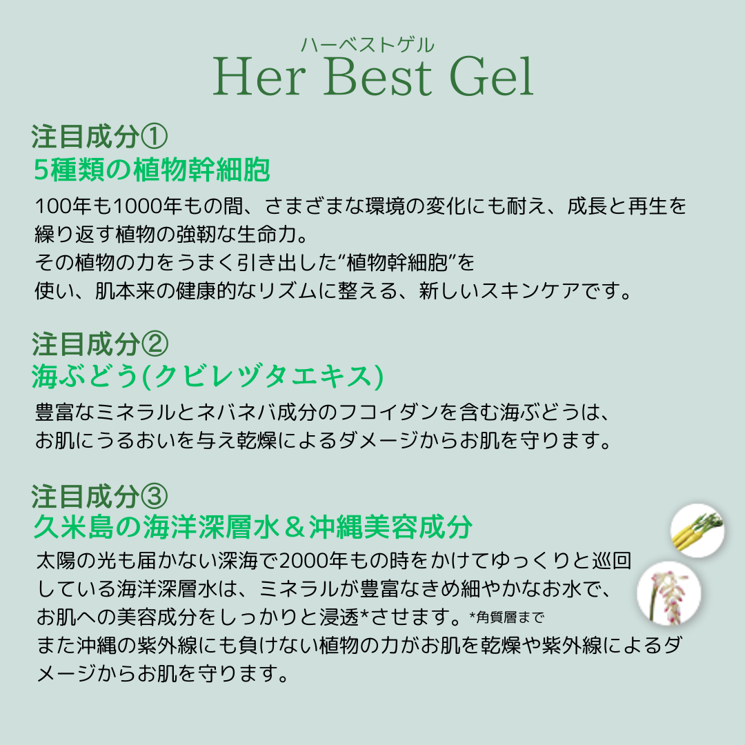 ハーベストゲル紹介2